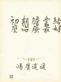 初期胆囊结石怎么治疗最好的方法