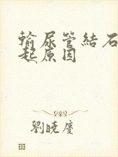 输尿管结石的引起原因