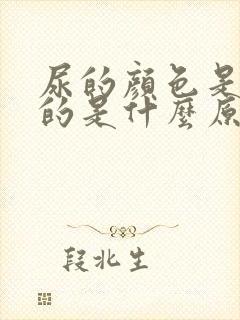 尿的颜色是黄色的是什么原因