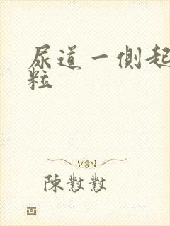 尿道一侧起小肉粒