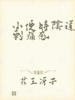 小便时阴道口有刺痛感