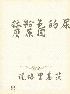 拉粉色的尿是什么原因