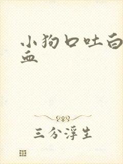 小狗口吐白沫拉血