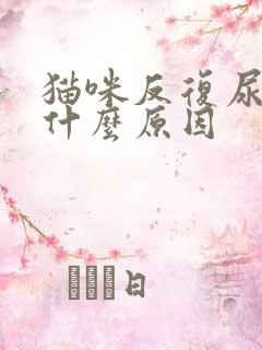 猫咪反复尿血是什么原因