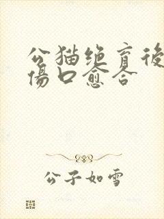 公猫绝育后几天伤口愈合