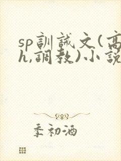 sp训诫文(高h,调教)小说