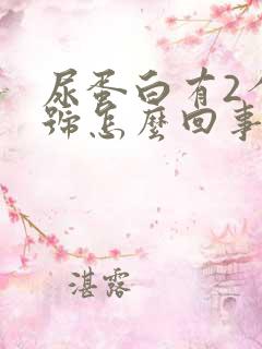 尿蛋白有2个加号怎么回事