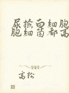 尿检白细胞红细胞细菌都高