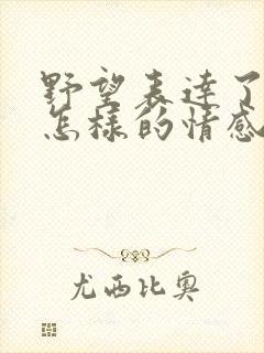 野望表达了诗人怎样的情感