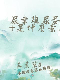 尿常规尿蛋白3+是什么意思