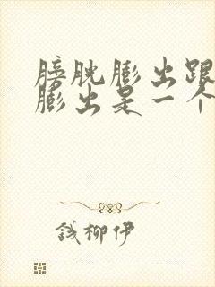 膀胱膨出跟前壁膨出是一个意思吗