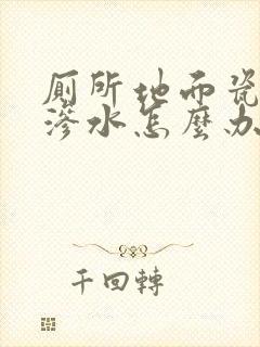 厕所地面瓷砖缝渗水怎么办