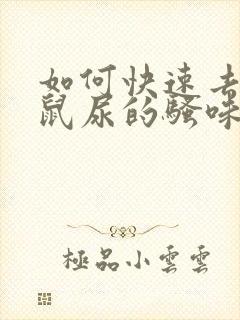 如何快速去除老鼠尿的骚味