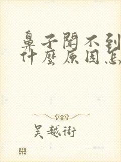 鼻子闻不到气味什么原因怎么治疗