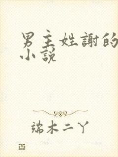 男主姓谢的古言小说