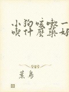 小狗咳嗽一个月吃什么药好