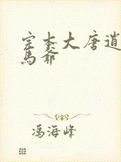 完本大唐逍遥驸马爷