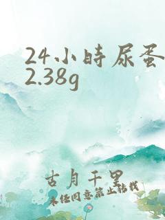 24小时尿蛋白2.38g