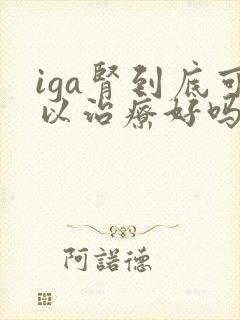 iga肾到底可以治疗好吗