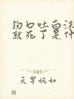 狗口吐白沫然后就死了是什么原因