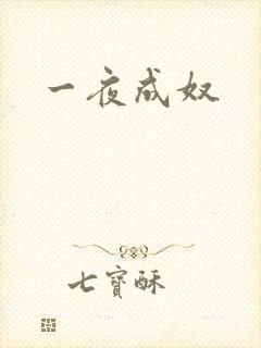 一夜成奴
