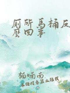 厕所马桶反味怎么回事