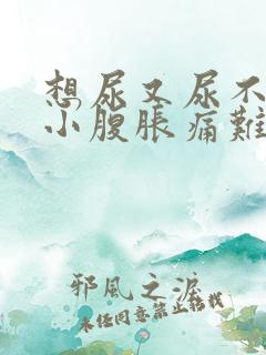 想尿又尿不出来小腹胀痛难受为什么