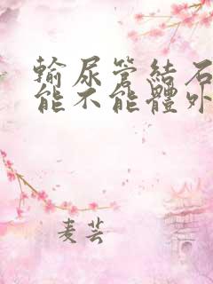 输尿管结石下段能不能体外碎石