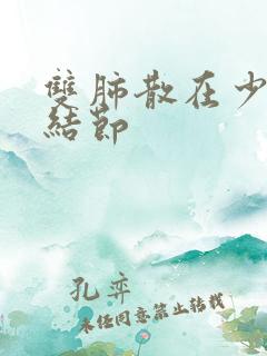 双肺散在少许微结节