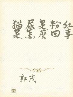 猫尿是粉红色的是怎么回事