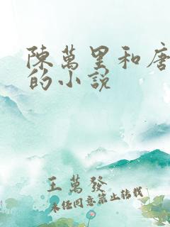 陈万里和唐嫣然的小说