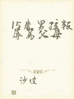 15岁男孩叛逆辱骂父母