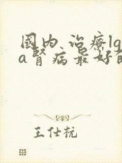 国内 治疗lga肾病最好的医院