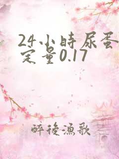 24小时尿蛋白定量0.17