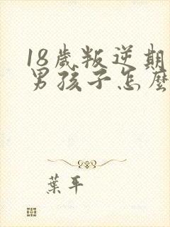 18岁叛逆期的男孩子怎么去引导