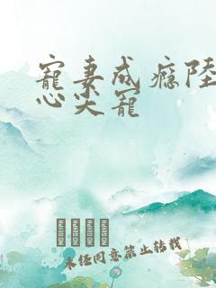 宠妻成瘾陆少的心尖宠