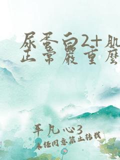 尿蛋白2+肌酐正常严重么