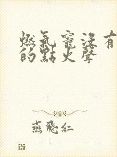 燃气灶没有哒哒的点火声