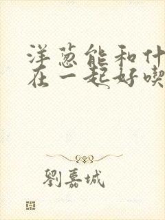 洋葱能和什么炒在一起好吃