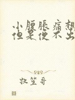 小腹胀痛想大便但是便不出来