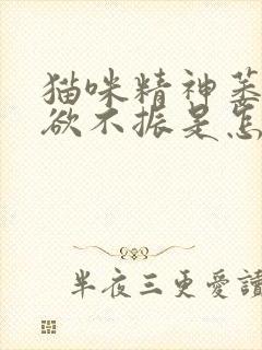 猫咪精神萎靡食欲不振是怎么回事