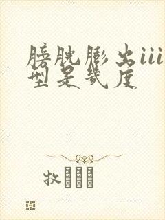 膀胱膨出iii型是几度