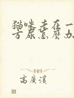 猫咪老在一个地方尿怎么办