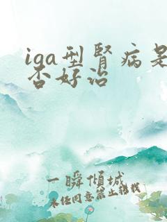 iga型肾病是否好治