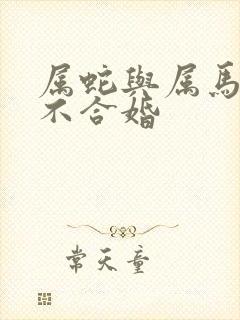 属蛇与属马的合不合婚