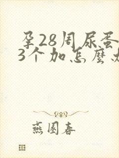 孕28周尿蛋白3个加怎么办