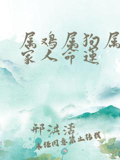 属鸡属狗属猪一家人命运