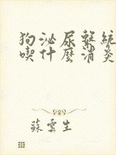 狗泌尿系统感染吃什么消炎药效果好