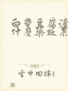 白带豆腐渣状用什么药效果好