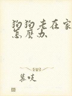 狗狗老在家里尿怎么办